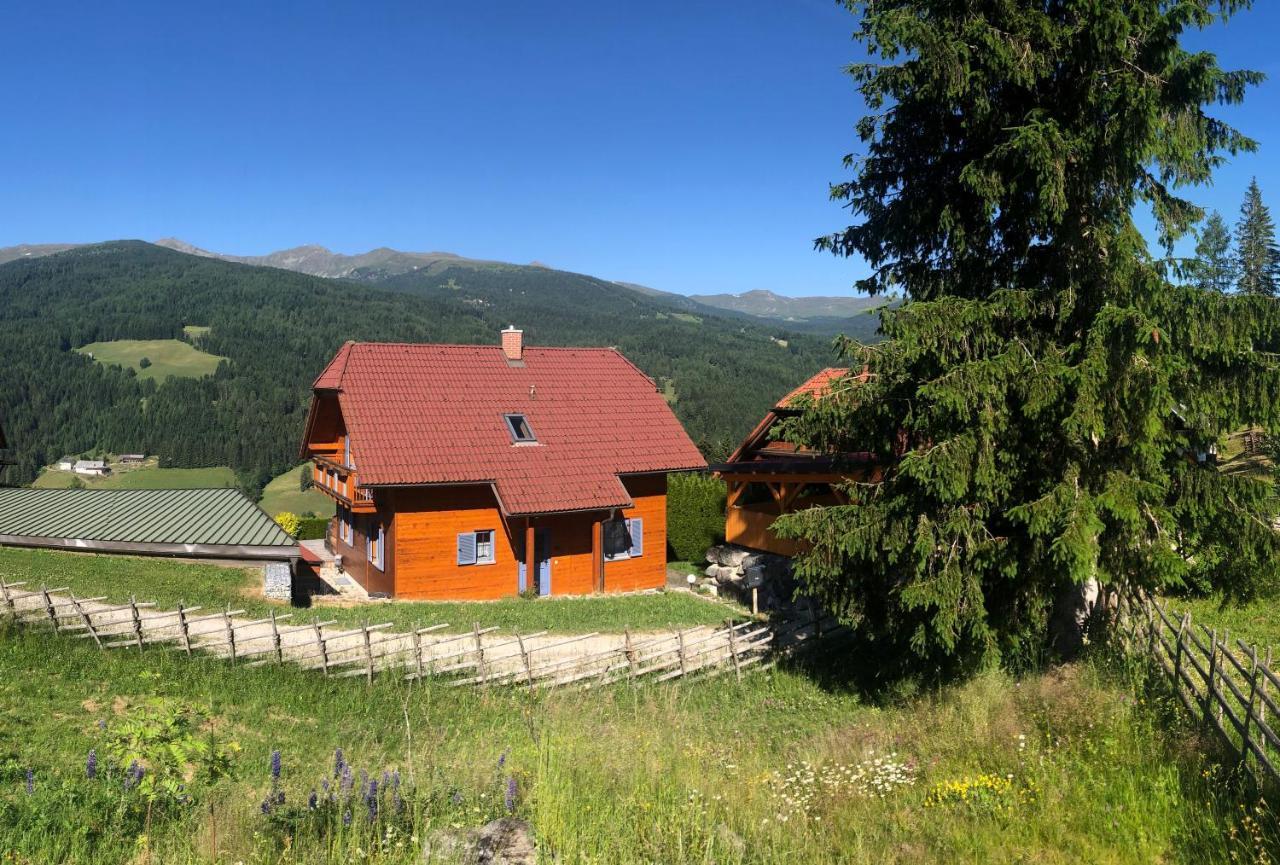 St Wolfgang-Kienberg - Ruhe Und Entspannung Mit Bester Aussicht Villa Obdach Exterior photo